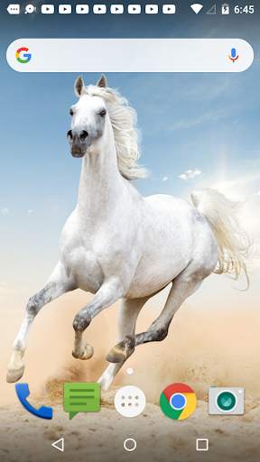 Horse Live Wallpaper screenshot 2