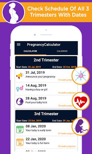 Pregnancy calculator, duedate screenshot 2