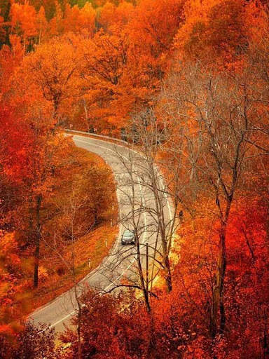 Jigsaw Puzzle World-Free Puzzles screenshot 8