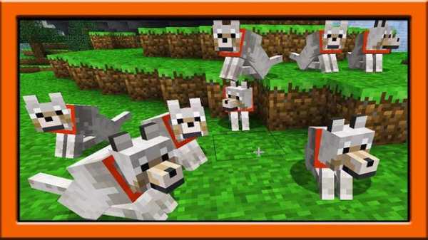 Dogs mod for minecraft pe screenshot 1