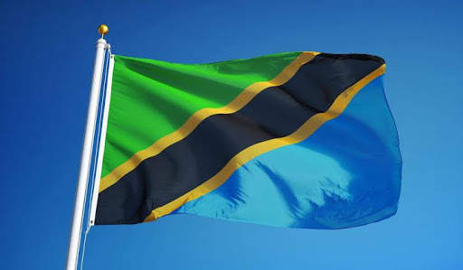 TANZANIAN NEWS 1 تصوير الشاشة