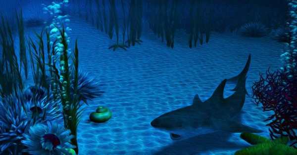 Shark it Free 8 تصوير الشاشة