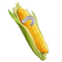 Maize Pests and Diseases on 9Apps
