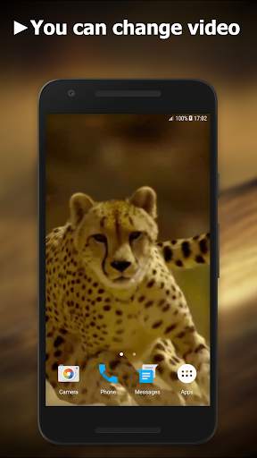 Cheetah Video Live Wallpaper screenshot 2