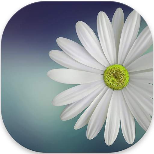 Gallery Lite - Photos, Videos 1.2.6