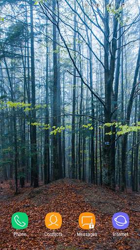 Forest Wallpaper screenshot 15