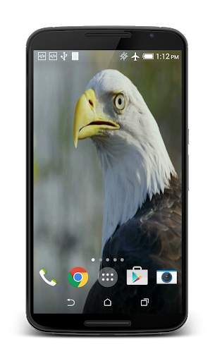 USA Eagle Live Wallpaper screenshot 3
