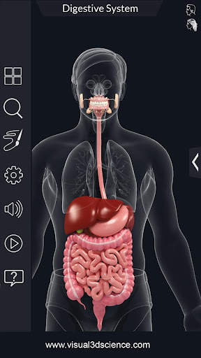 My Stomach Anatomy screenshot 2