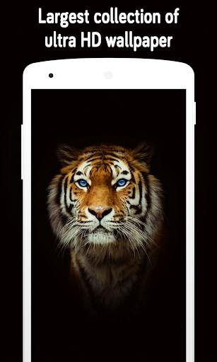 Tiger Wallpaper (4k) screenshot 8
