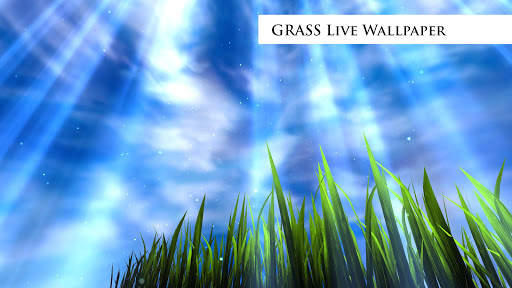 3D Pumpkins Grass FREE screenshot 11