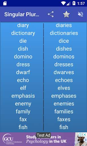 Singular Plural Words screenshot 2