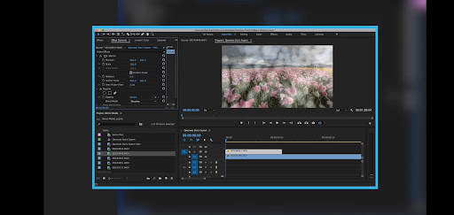 Premiere Clip - Guide for Adobe Premiere Pro screenshot 2