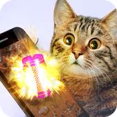 Petard for cat joke 1.0