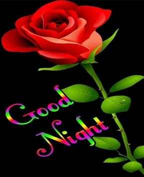 Romantic Good Night Love images Gif screenshot 7