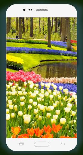 Garden Wallpaper HD screenshot 4