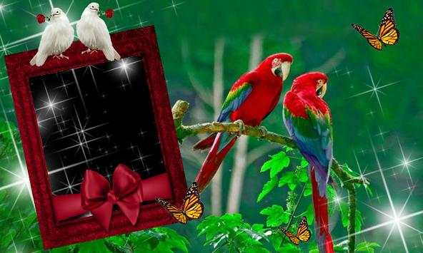 Love Birds Inst Profile Maker - Photo Frame screenshot 1