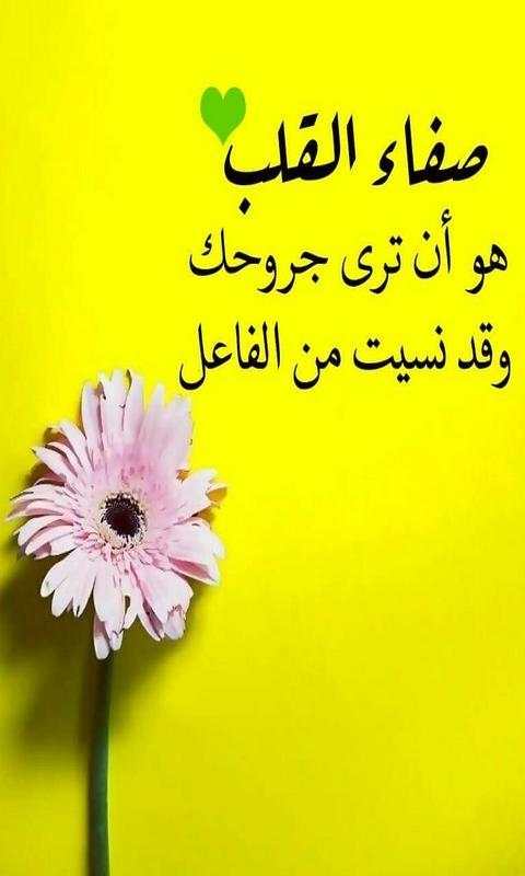 كلمات تثير الإعجاب 1 تصوير الشاشة