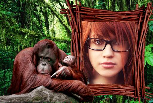 Animal Photo Frames screenshot 8