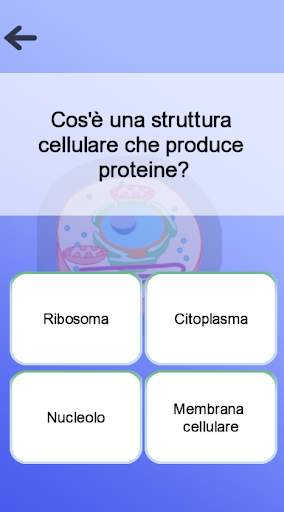 Anatomia screenshot 7