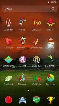 Cricket Fever Theme screenshot 3