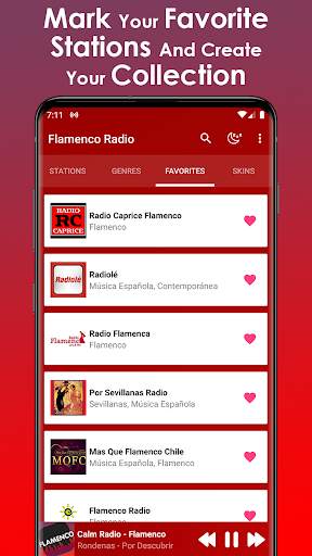 Flamenco Music screenshot 5