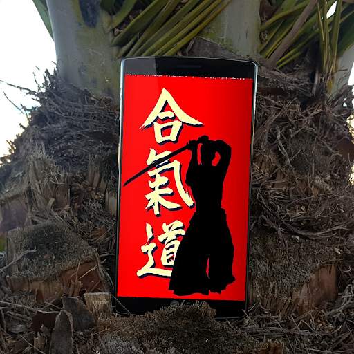 Martial Art Wallpaper screenshot 6