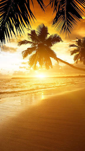 Beach Sunset Live Wallpaper screenshot 2