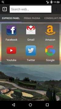 Indian Browser screenshot 1
