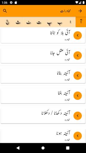 Offline Urdu Dictionary, Audio & Citation screenshot 2