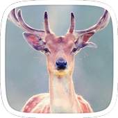 Beautiful Deer Iphone Theme 1.0.0
