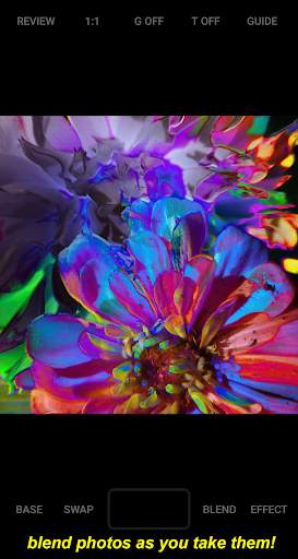 bonsaikam (blending camera) screenshot 1