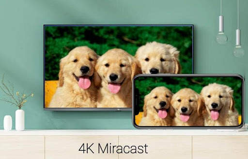 TV Cast Pro screenshot 4
