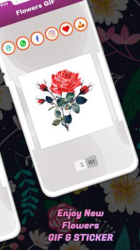 Flowers GIF : Flower Stickers For Whatsapp screenshot 4