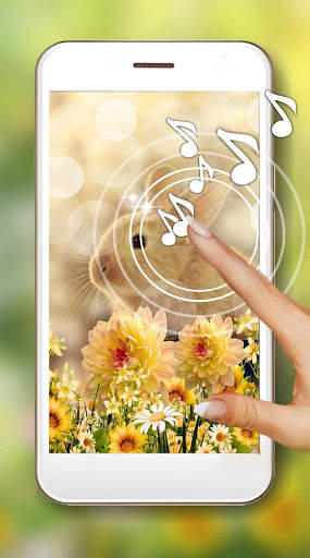 Bunny Fluffy Live Wallpaper screenshot 1