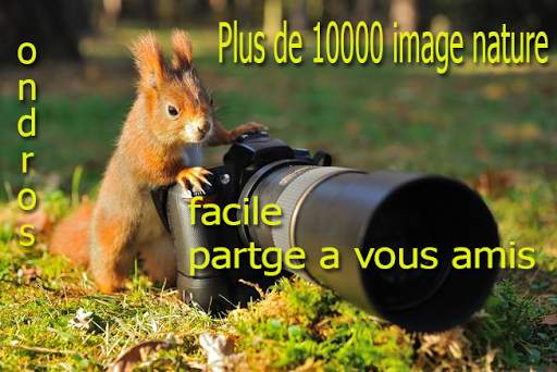 Fonds d'écran Spring Nature 2019 3 تصوير الشاشة