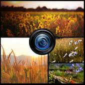 Grid Photo Collage App