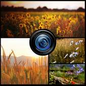 Grid Photo Collage App 1.0
