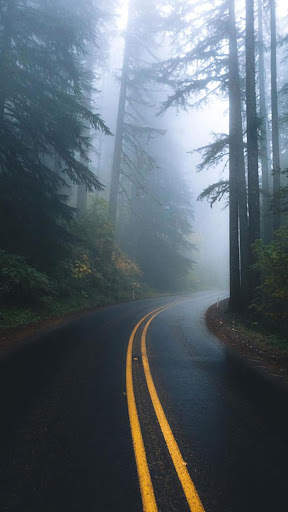 Dark Forest HD Wallpapers screenshot 2