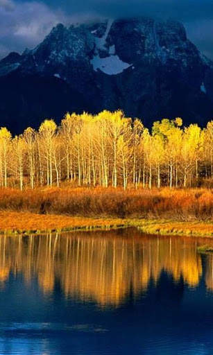 Nature Live Wallpapers screenshot 2