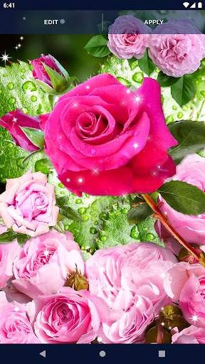 Pink Rose 4K Live Wallpaper screenshot 4
