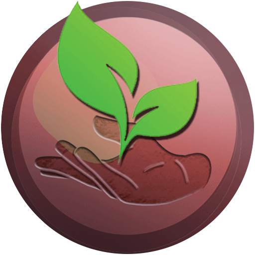 Ifa Aye 2.3