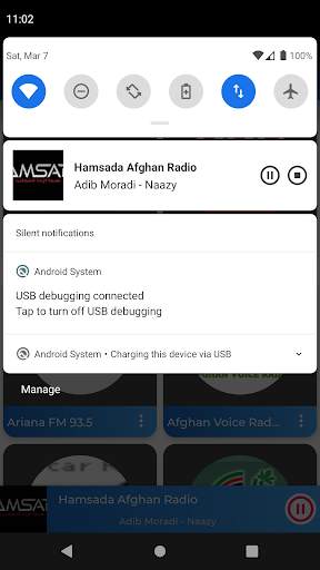 Afghan Radio screenshot 4