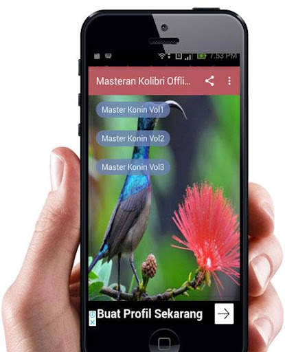 Masteran Kolibri Ninja Offline screenshot 1