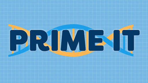 Prime It DNA Game screenshot 1