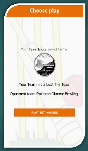 Book Cricket screenshot 8