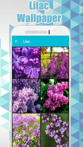 Lilac Wallpaper screenshot 2