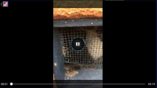 Getfvid - Video Downloader for Facebook screenshot 5