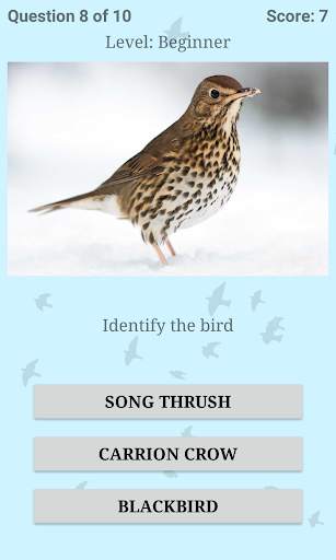 British Birds ID Quiz Pro screenshot 3