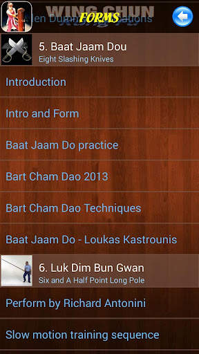 Wing Chun Kung Fu screenshot 6