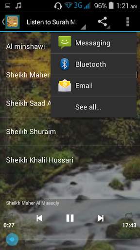 Surah Maryam Offline Free Mp3 скриншот 2
